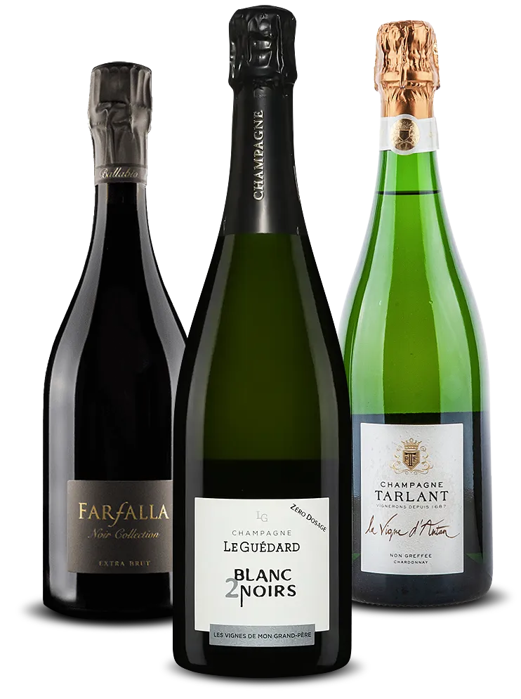 vini e champagne salotto bohemien
